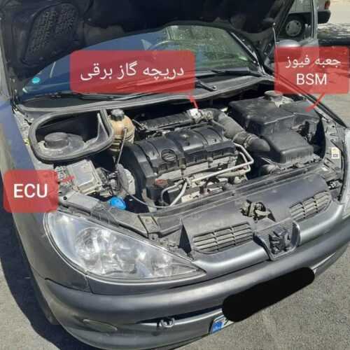 راهنمای جعبه فیوز موتور پژو 206 BSM